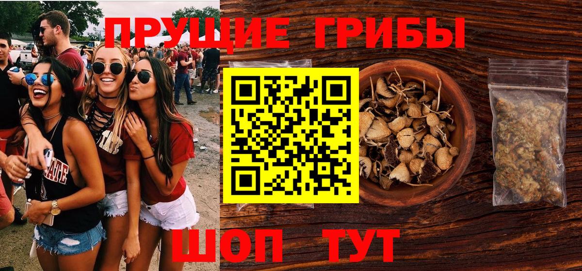 Галлюциногенные грибы прущие грибы  Вход с VPN  Александров 